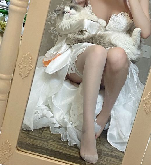 精品久久电影网_BD免费视频大全